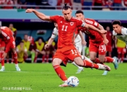 开云体育平台APP-包含贝尔助威威尔士队，将全力拼搏的词条