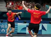 开云平台-瑞典队横扫法国队，樊振东扛起全队