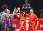 开云体育app-日本队完胜印度队，陈雨菲关键制胜