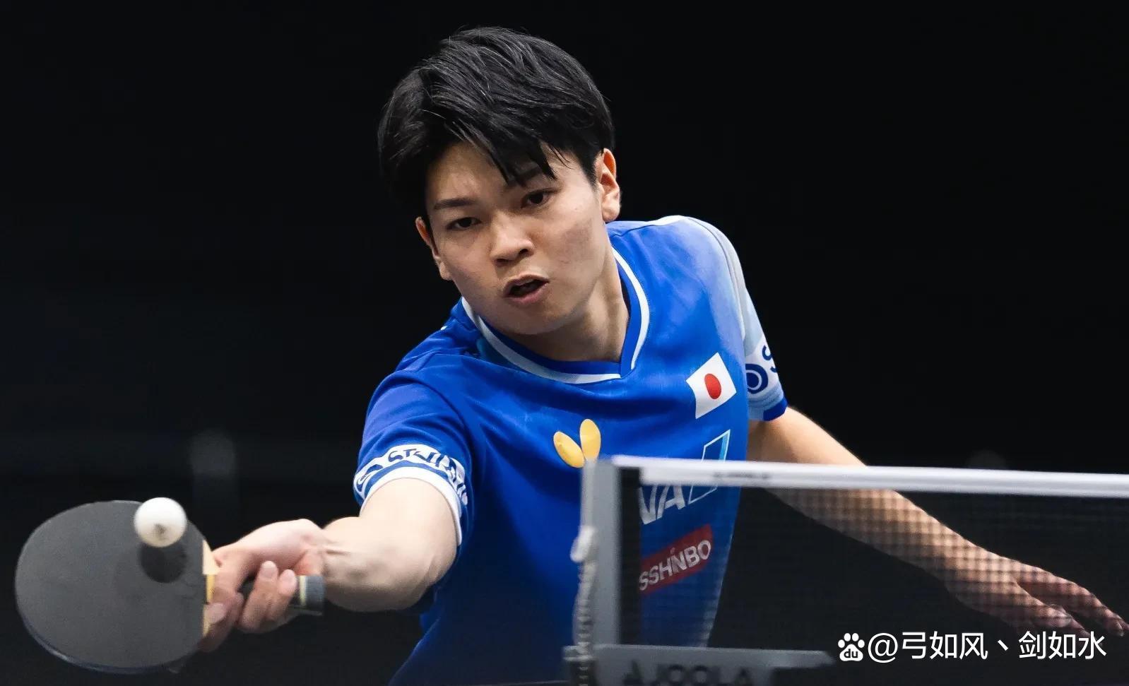 关于中国乒乓球队横扫法国乒乓球队，奥恰洛夫制霸全场的信息