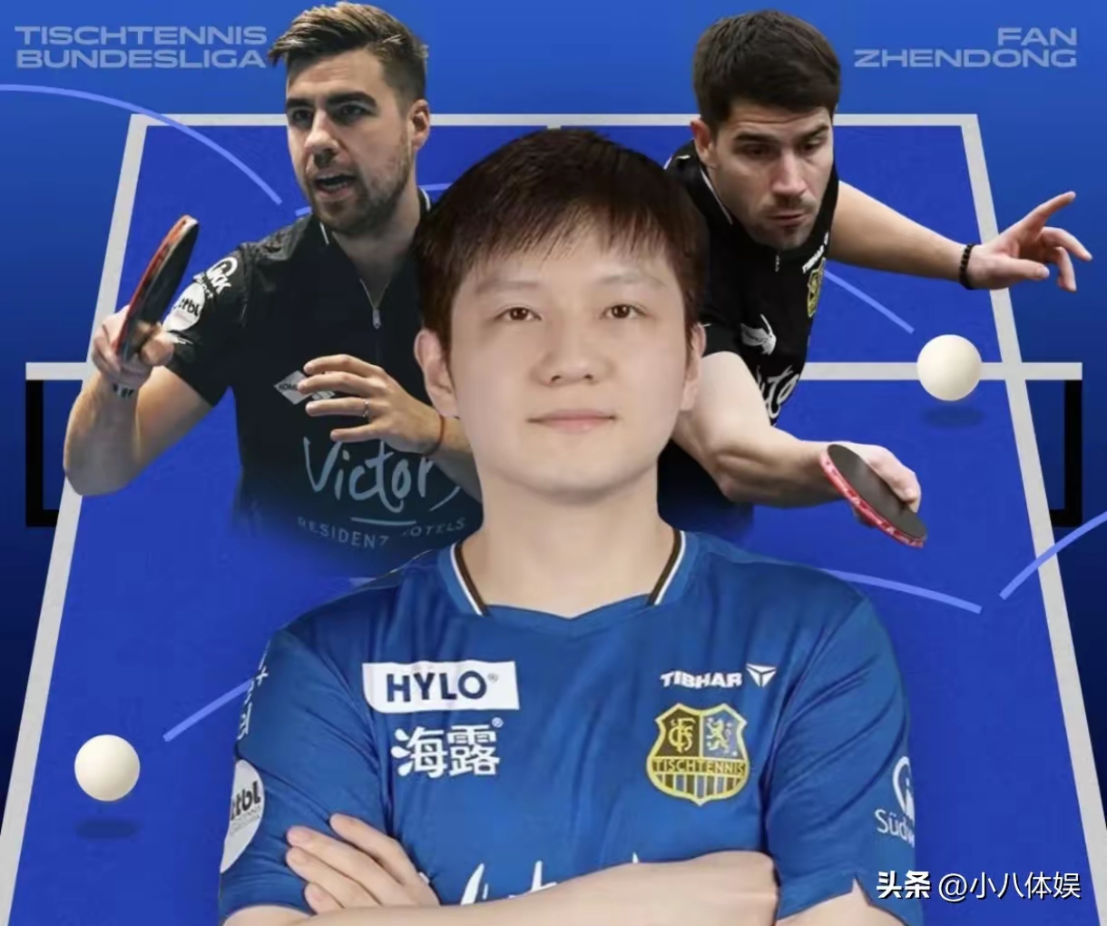 关于葡萄牙队险胜日本队，樊振东统治全场的信息