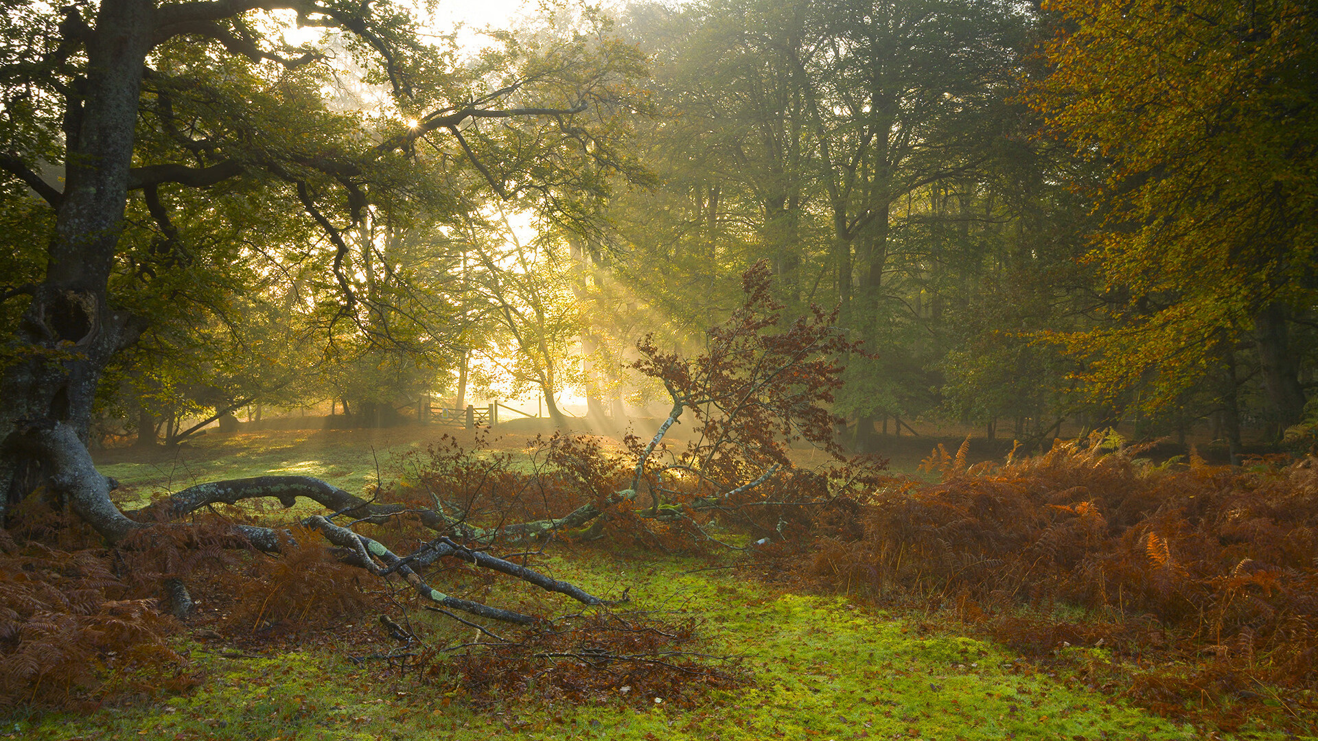 世界杯之夜，内马尔一锤定音，让悬念提前终结