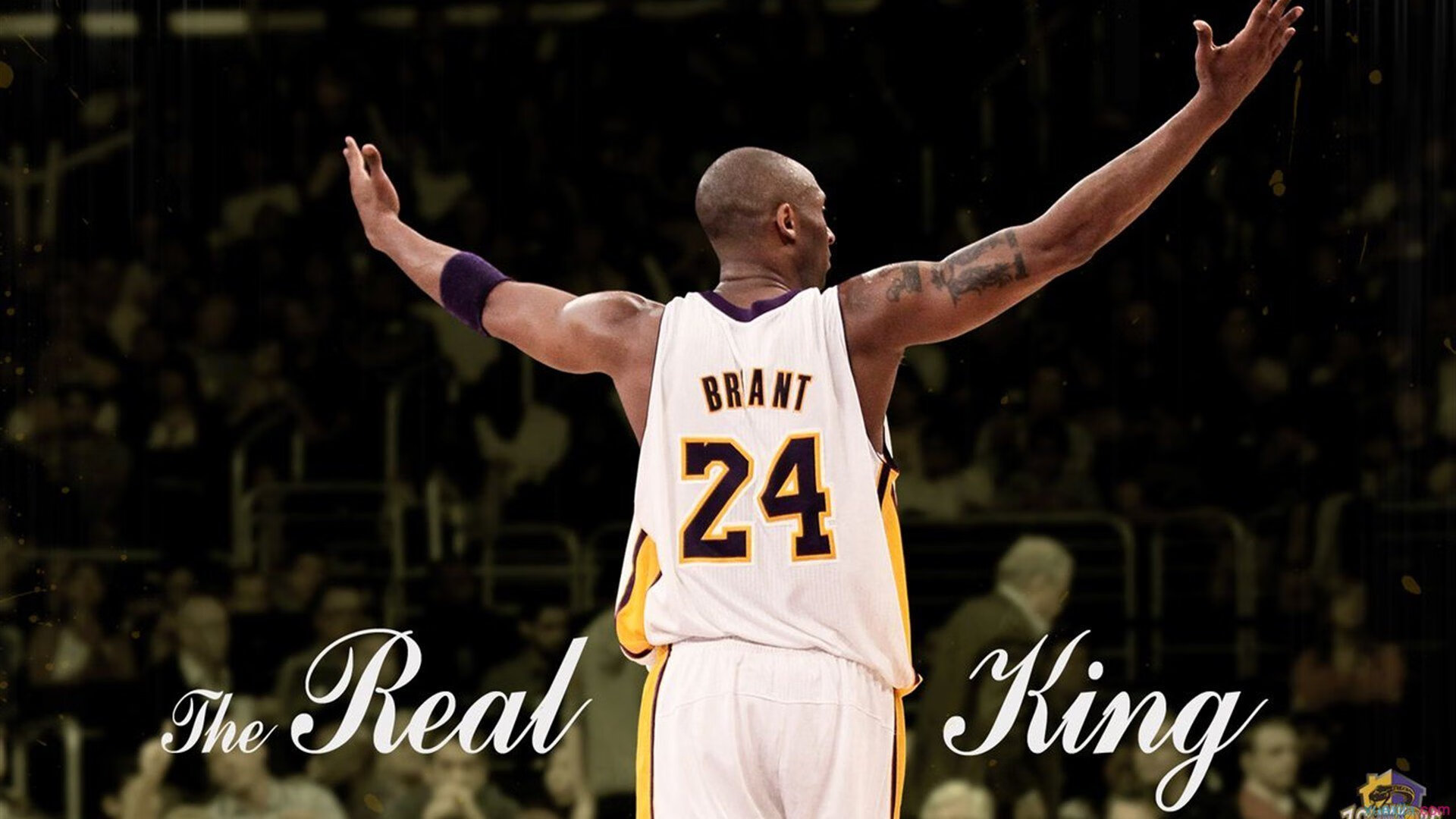 硬仗之王武切维奇率黄蜂轻取广厦，展唯一统治力